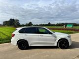 BMW X5 xDrive40d - - BMW X5 Gebrauchtwagen in Stuttgart