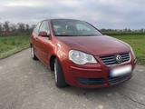 Volkswagen VW Polo 9N 1,6L - TÜV 01/28 - Volkswagen Polo aus 2006: 1.6
