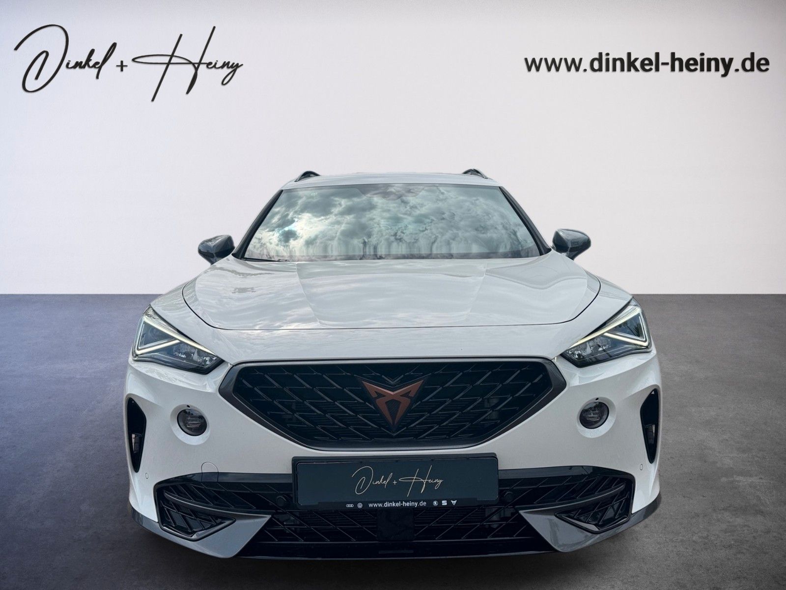 Fahrzeugabbildung CUPRA Formentor 2.0 TSI 4Drive
