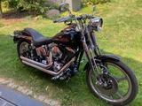Harley-Davidson FXSTS Softail Springer - HARLEY-DAVIDSON SPRINGER SOFTAIL