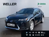 Lexus UX 250h Style Edition *Bi-LED*ACC*CAM*SHZ*CarPla - Lexus UX: Automatik