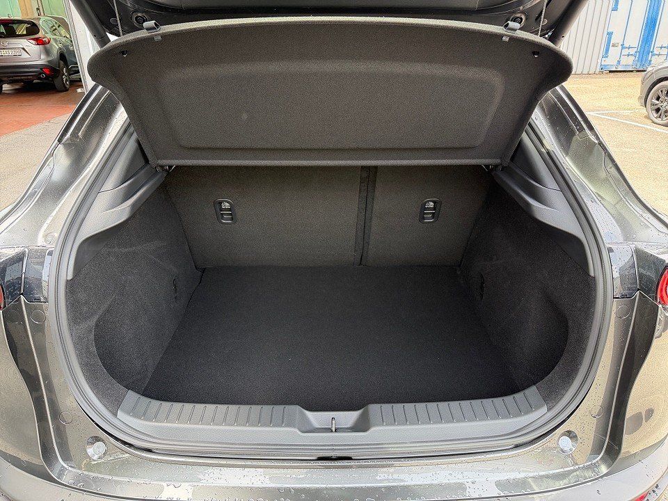 Fahrzeugabbildung Mazda CX-30 2.5i 140PS Homura