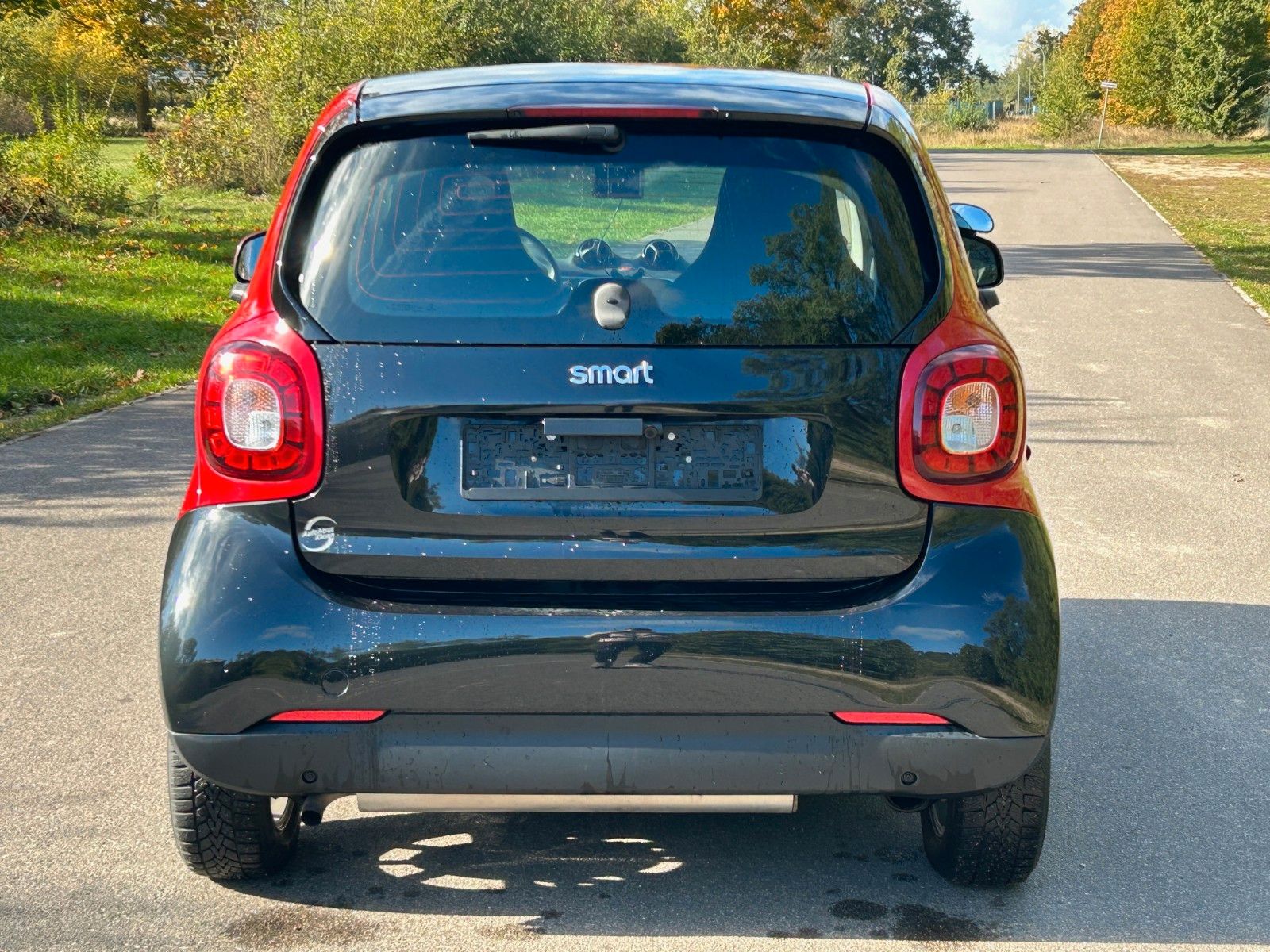 Fahrzeugabbildung Smart ForTwo Coupé 0.9 Passion *Sitzhzg*Panorama*RFK*