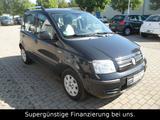 Fiat Panda 1.2 8V Dynamic,KLIMA,GARANTIE,SERVO - Fiat Panda aus 2010: Allradantrieb