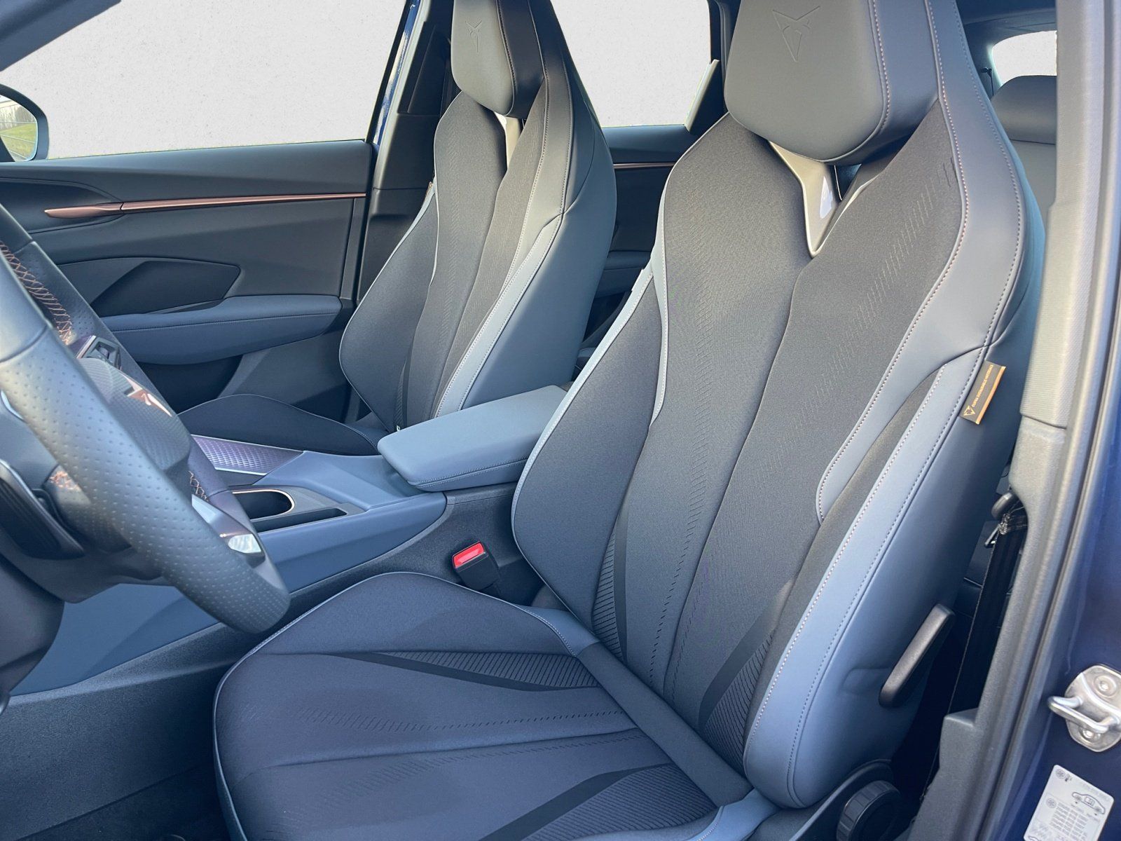 Cupra Terramar - Bild 8