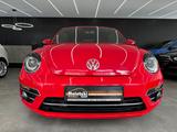 Volkswagen Beetle 1.2 TSI Cabriolet Sound*Navi*Bi-Xenon* - gebrauchte VW Beetle aus dem Jahr 2017
