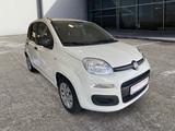 Fiat Panda More 1.2 8V 51kW / 69PS - Fiat Panda: 5.5