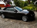 Audi A5 2.0 TDI Cabriolet - - Audi A5: Braun, Cabrio