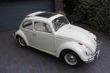 Volkswagen Käfer 1200 Export Faltdach 2. Hand 60tkm  - Volkswagen Käfer Oldtimer