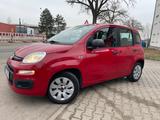 Fiat Panda 1,2l Klima-1 Hand - Fiat Panda Gebrauchtwagen in Frankfurt