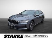 Skoda Superb - Vorschau Bild 2