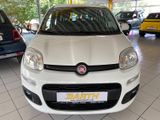 Fiat Panda Lounge - Fiat Panda: 5sitzer