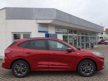 Bild 5 Ford Kuga ST Line NAVI,SHZ v u. h, beheiz. Lenkrad