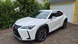 Lexus UX 250h Style Edition - Lexus: Allradantrieb
