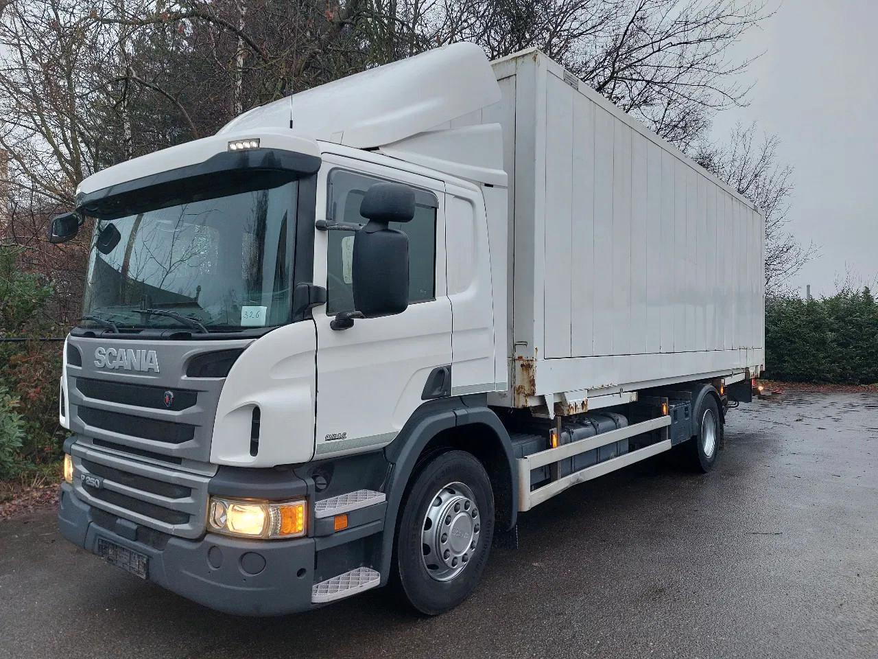 Scania P250 4x2 LL - wechselfahrgestell -TOP!