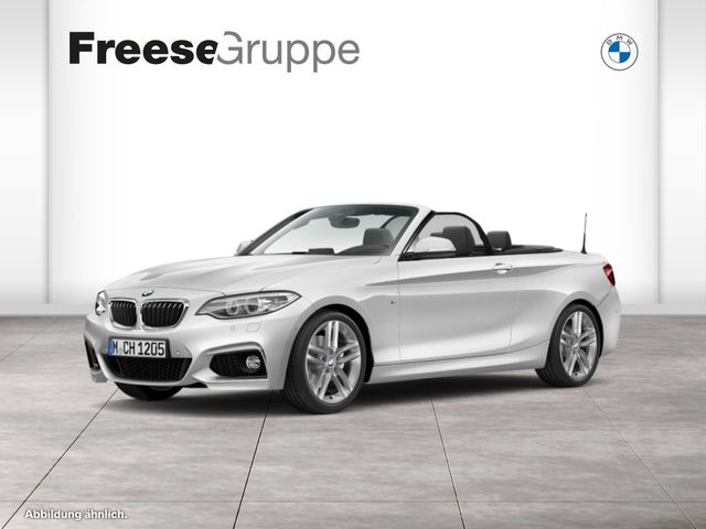 BMW 220d (20 M Sportpaket HiFi Xenon RFK Navi Prof.