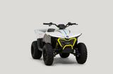 CFMOTO CFORCE 110 EV - CFMOTO CFORCE EV110