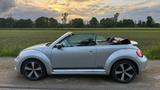 Volkswagen Beetle 2.0 TDI 81kW BMT CLUB Cabriolet CLUB - Volkswagen Beetle: TDI