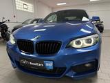 BMW 230 i Cabrio M Sport*H&K*AHK*DAB*Alcantara*DAB+* - BMW 230: 230d