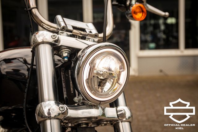 Fahrzeugabbildung Harley-Davidson SOFTAIL STANDARD FXST - KESSTECH & GARANTIE
