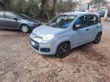 Fiat Panda 1.0 FireFly S&S Hybrid Easy - Fiat Panda EASY mit Hybrid-Antrieb (Benzin/Elektro)