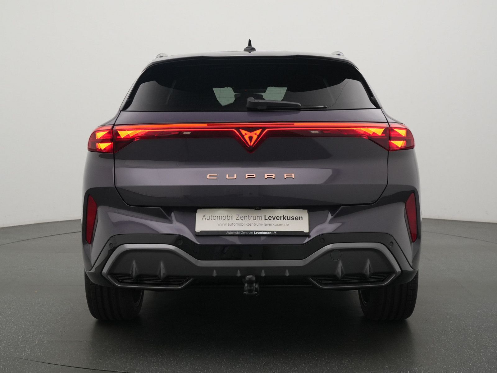 Cupra Terramar - Bild 4