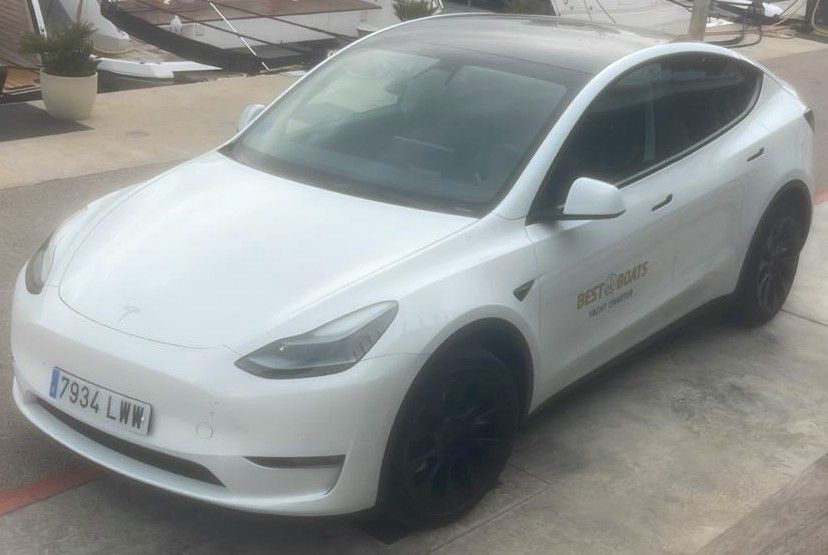 Image of Tesla Model Y