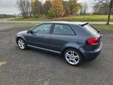 Audi A3 2.0 TDI 125kW 8P quattro Allrad S lineAHK TÜV - Audi: 12