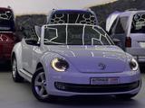 Volkswagen Beetle Cabriolet Club - Volkswagen Beetle: Cabrio
