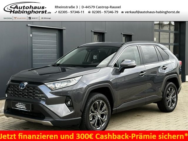 Toyota RAV 4 2.5 Hybrid CVT 4x4 Active Navi LED PDC e.H