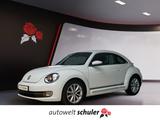 Volkswagen Beetle 1.2 TSI Cup Navi PDC Sitzheizung - Volkswagen Beetle: Cup