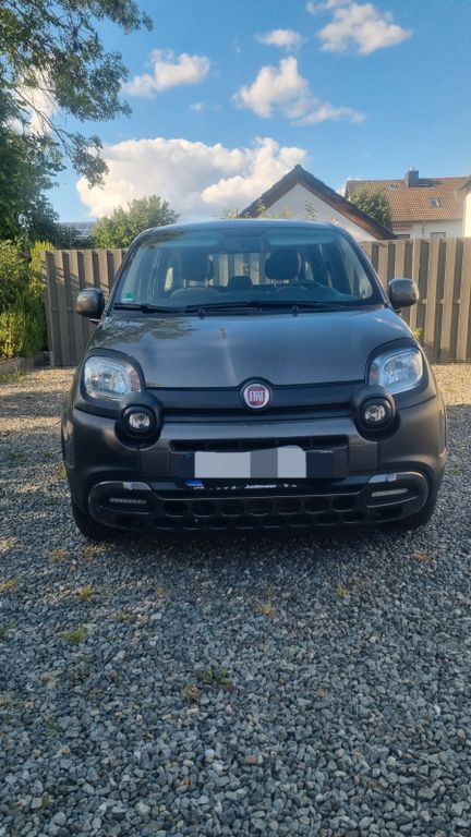 Image of Fiat Panda
