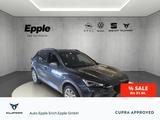 Cupra Formentor 1.5 TSI AHK-klappbar Navi Winterpaket  - Cupra Formentor Gebrauchtwagen