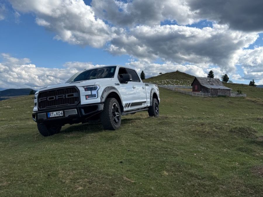 Image of Ford F 150