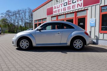 Volkswagen Beetle - 7