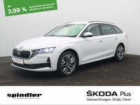Skoda Octavia - Vorschau Bild 1