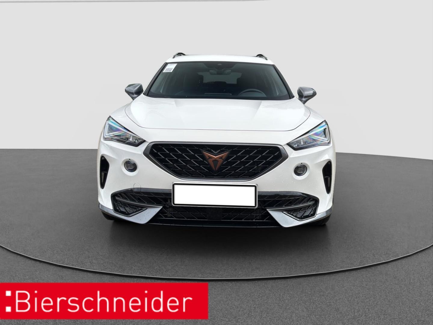 Cupra Formentor 1.4 TSI DSH e-Hybrid AHK NAVI REAR VIE