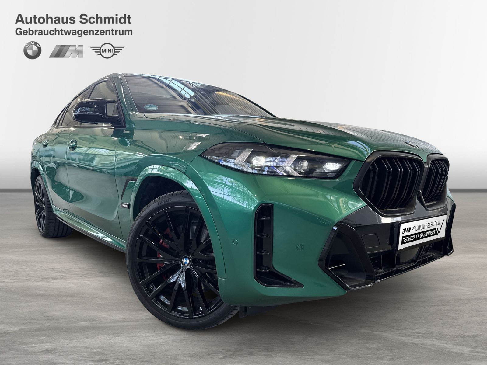 BMW X6 M60 - Bild 6