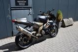 Aprilia RSV 1000 TUONO - Aprilia Motorräder in Hamburg