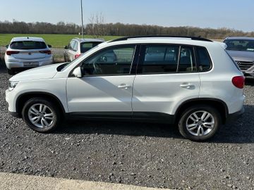 Volkswagen Tiguan - 8
