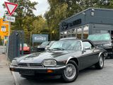 Jaguar XJS Aut. - 1 Hand - Cabrio - Speicherräder /// - Jaguar XJS