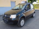 Fiat Panda 4X4 - gebrauchte Fiat Panda aus dem Jahr 2007