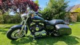 Harley-Davidson Sportster XL 1200 C - Harley-Davidson Motorräder in Lübeck