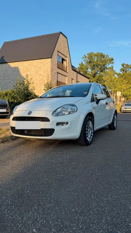 Image of Fiat Punto