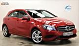 Mercedes-Benz A 250 4Matic 211PS Urban Line 7G DCT Kamera Totw - mit Benzin-Antrieb: Rot, Vollleder