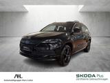 Skoda Karoq 1.6 TDI Ambition DSG LED Navi RFK PDC SHZ - Skoda Karoq: Ambition