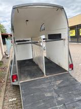 Böckmann Pferdeanhänger Big Master - Böckmann Tier-/Pferdetransport