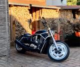 Harley-Davidson V Rod VRSCAW 5HD - HARLEY-DAVIDSON VRSCA