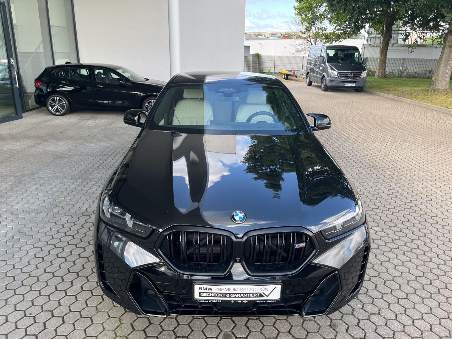 BMW X6 M60 i xDrive/M Sport Pro/StandHZG/AHK/Leder