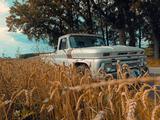 Chevrolet C10 - Chevrolet Gebrauchtwagen von 1965